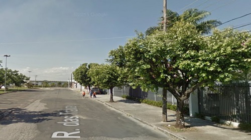 árvores-Detran-site2